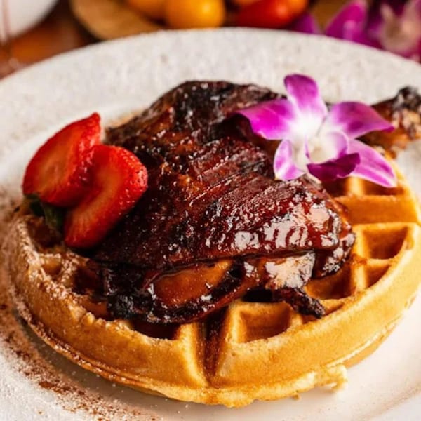 Caribbean jerk chicken and waffles with strawberries and an orchid on a white plate.